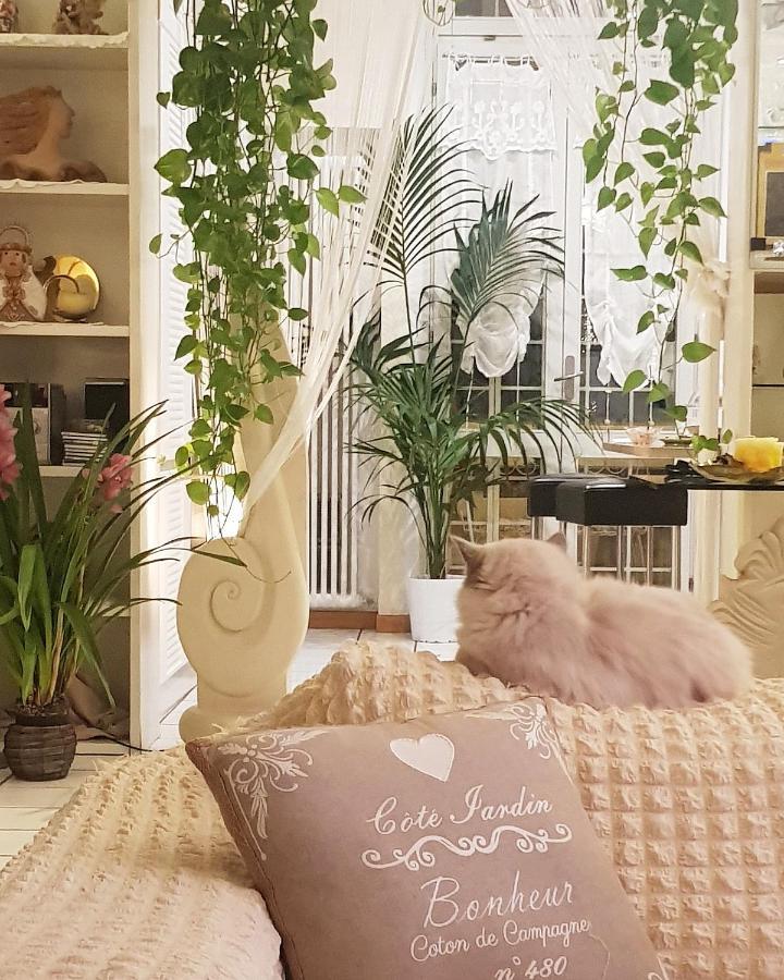 Stella Del Mar Bed & Breakfast โบโลญญา ภายนอก รูปภาพ